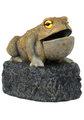 Croaking Toad Light Up Decoration